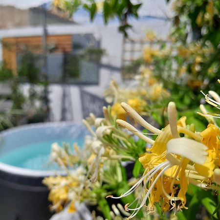 Le Petit Patio Bed & Breakfast Айга-Мортас Екстериор снимка