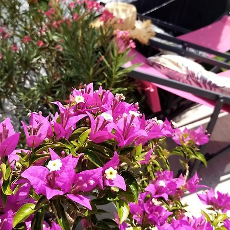 Le Petit Patio Bed & Breakfast Айга-Мортас Екстериор снимка
