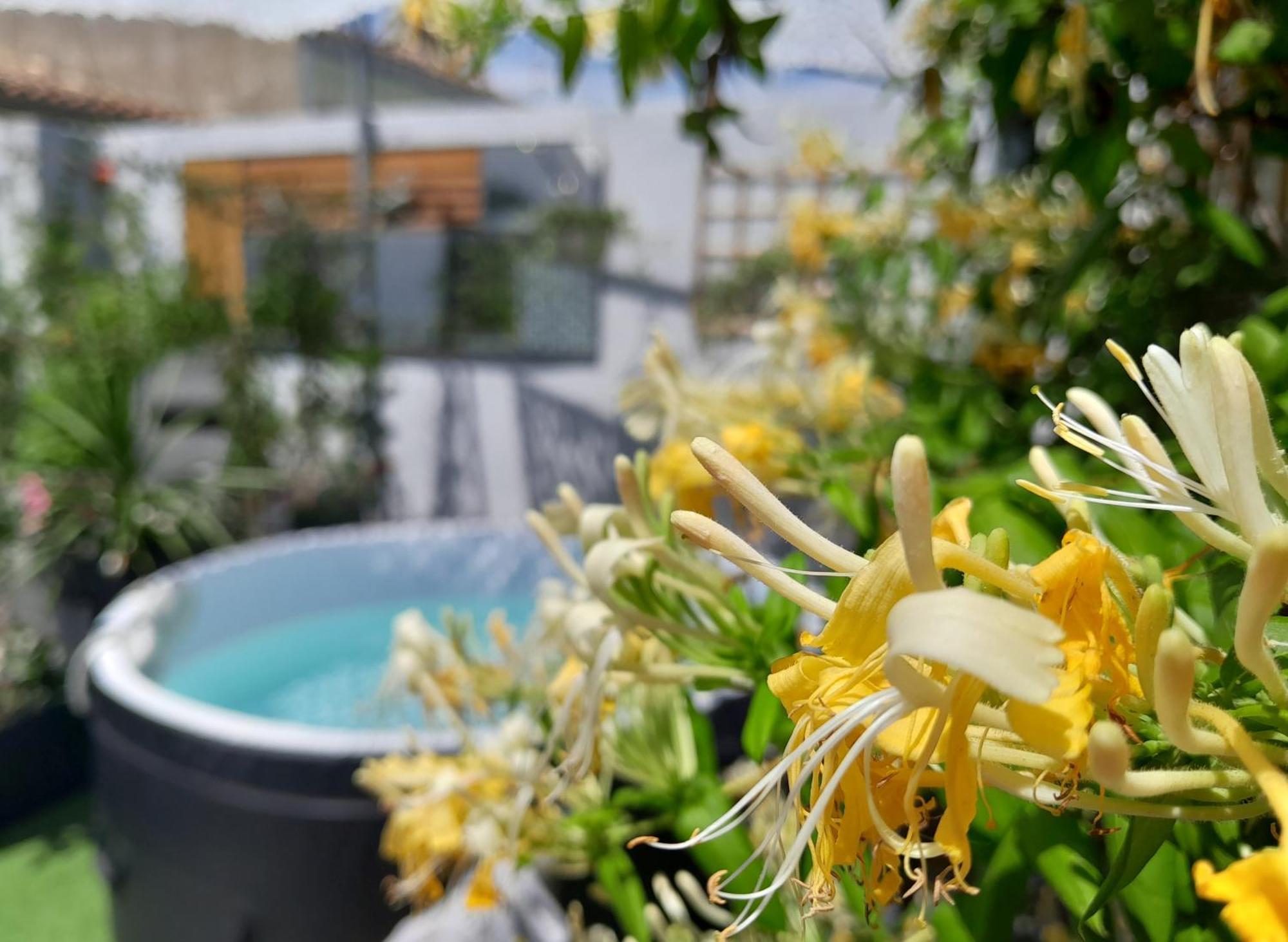 Le Petit Patio Bed & Breakfast Айга-Мортас Екстериор снимка