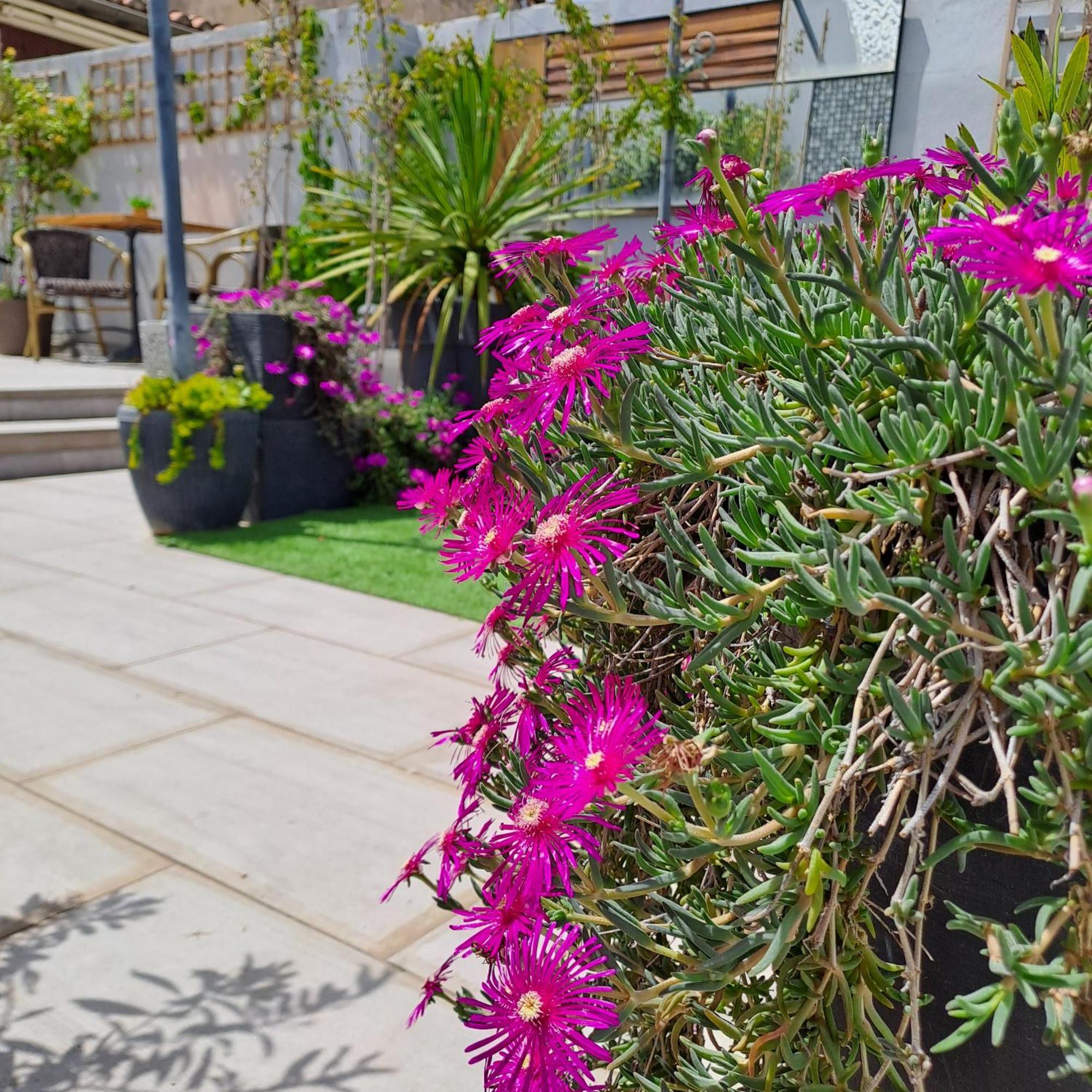 Le Petit Patio Bed & Breakfast Айга-Мортас Екстериор снимка